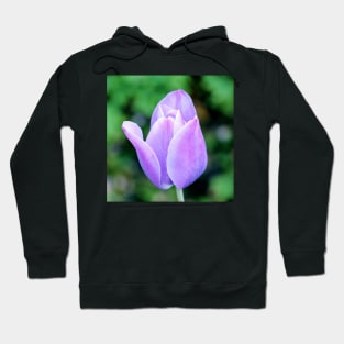 Light Purple Tulip Hoodie